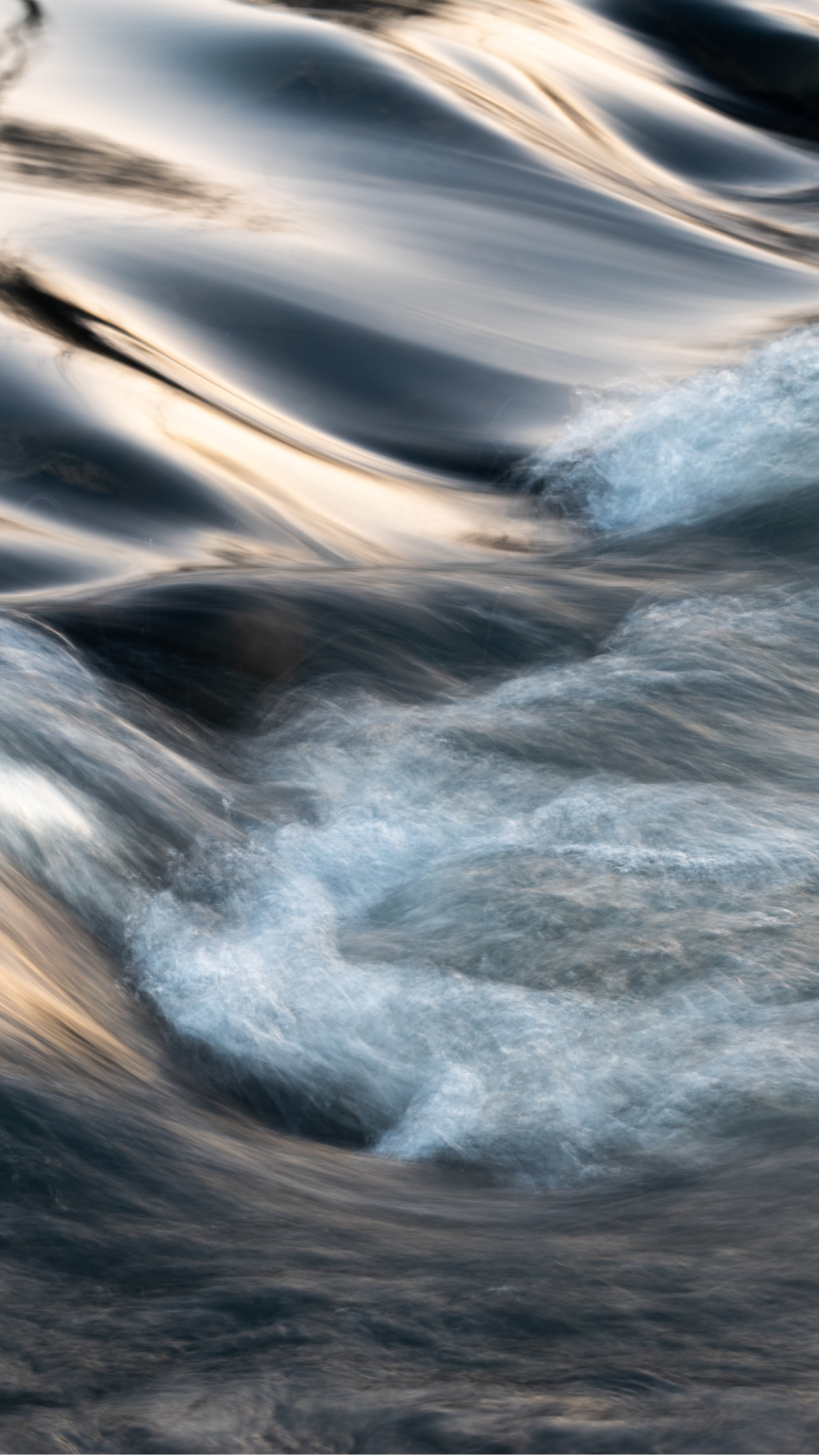 banner-image